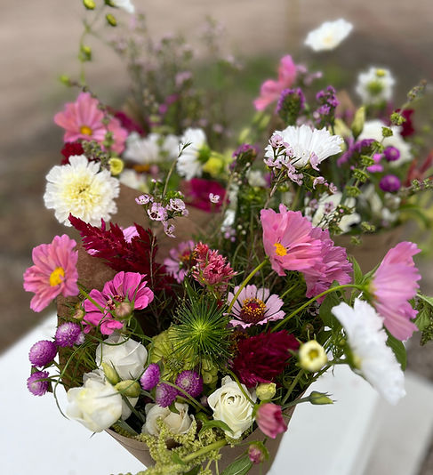 With flowers such as Geraniums, Begonias, Coleus, Alyssum, Martha Washingtons, Petunias, Bells of Ireland, Cannas near me shop online