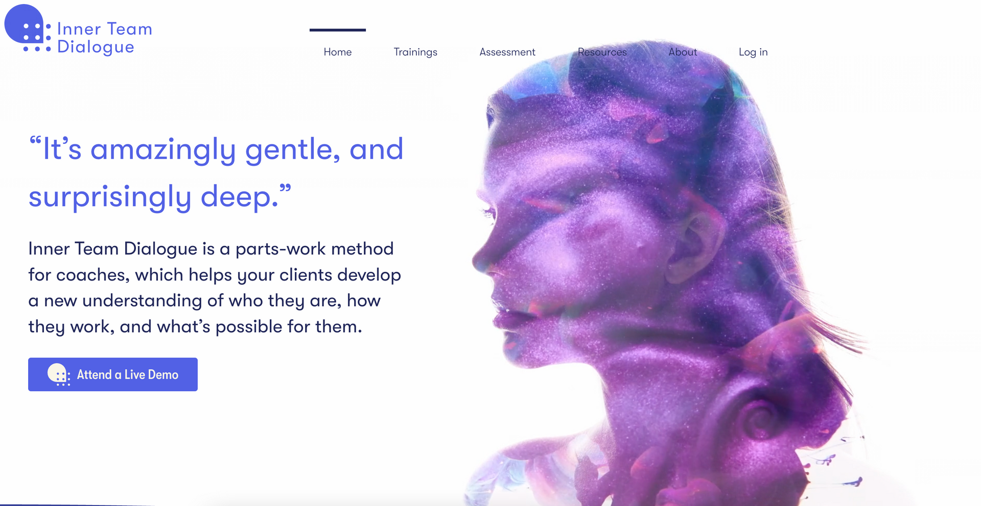 Website design for transformational coaches speakers keynote public speakers