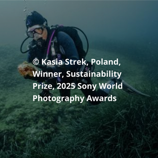 Learn about Sony World Photography winners of the Sustainability Prize 2025