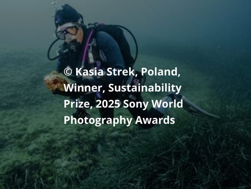 Learn about Sony World Photography winners of the Sustainability Prize 2025