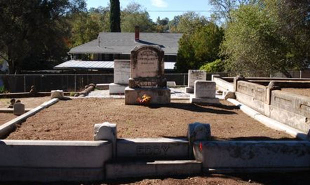 Eddy Plot (Part II)