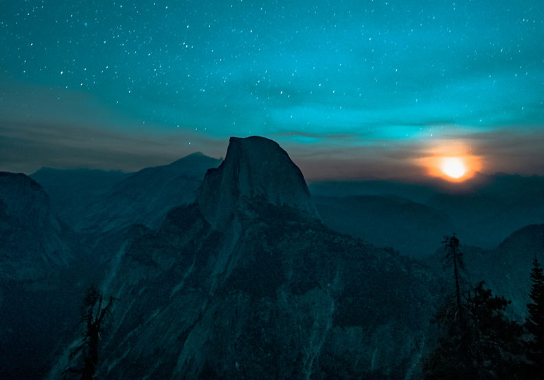 Book Editors New York