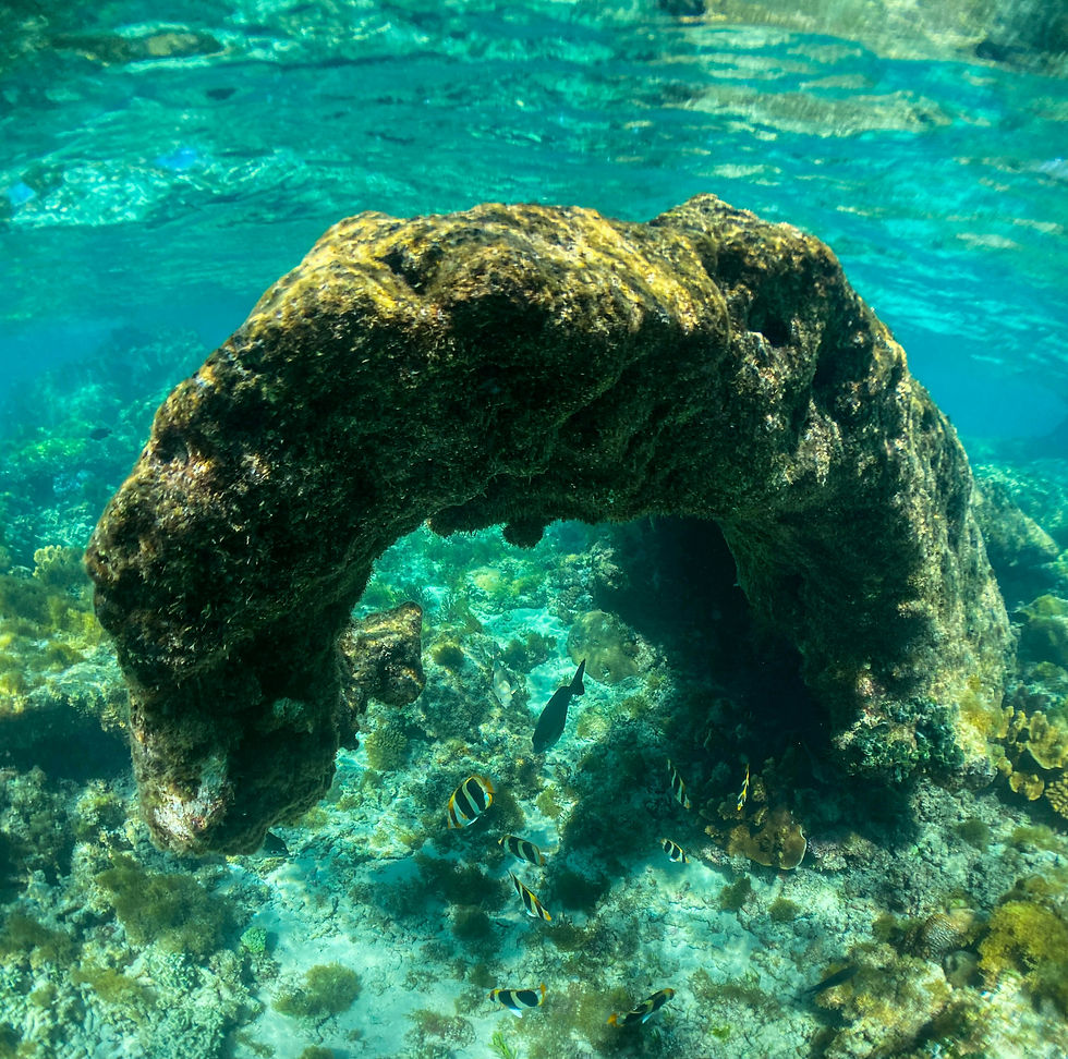 artificial reef