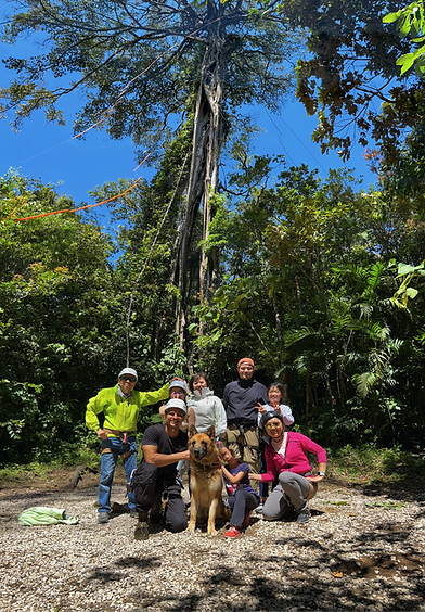 Things to do in costa rica
