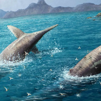 Giant ancient sea reptile fossil found in Somerset, UK.