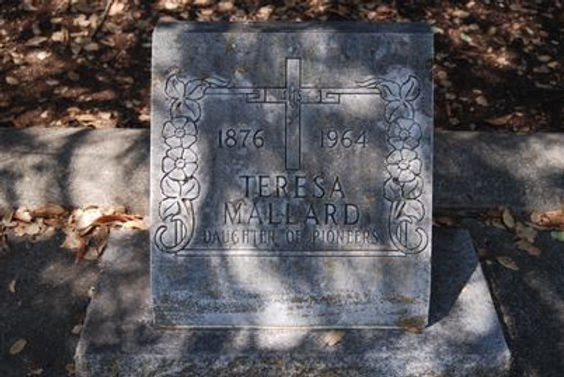 Teresa Meyer Mallard