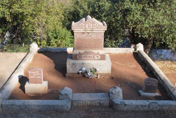 HON. THOMAS CAROLUS BIRNEY