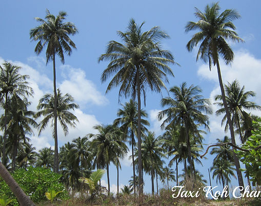 Discover the Enchanting Beauty of Koh Kood Island, Thailand. Taxi Ko Chang Asia