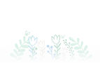 Hotel meson de las Flores Background.jpg