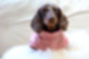 Trekfit Dachshund Dog Fleece - Powder Pink
