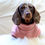 Thumbnail: Trekfit Dachshund Dog Fleece - Powder Pink