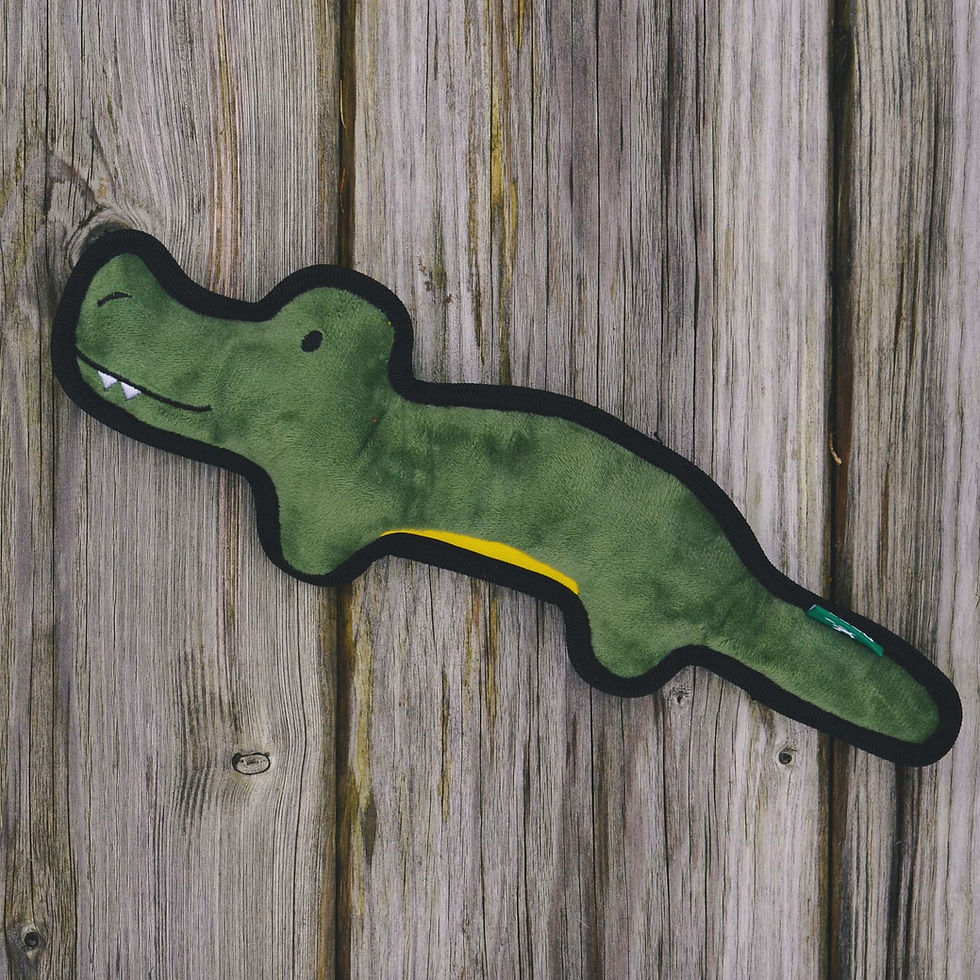 Thumbnail: Beco - Rough & Tough - Crocodile - Medium