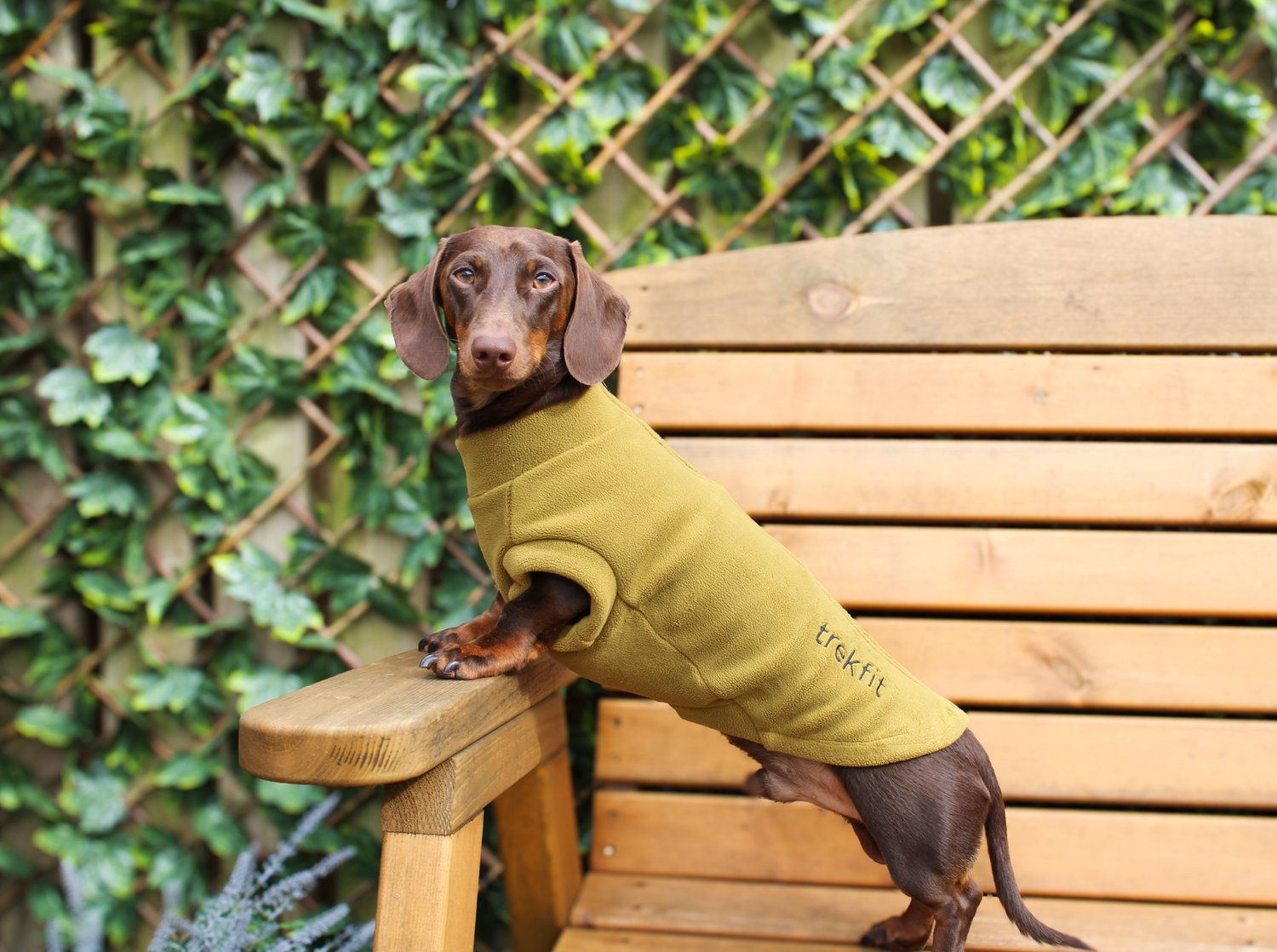 Trekfit Mustard Dachshund Dog Fleece