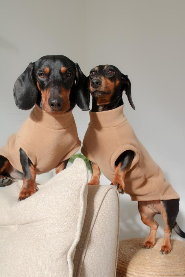 Thumbnail: Trekfit Chai Brown Dachshund Dog Fleece