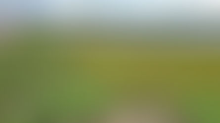 PLANTA AQUÁTICA ESTÁ TOMANDO DE CONTA DO AÇUDE CUGI EM CAMPO REDONDO-RN, MORADORES ESTÃO PREOCUPADOS.