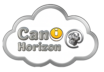 logo transparent (2).png