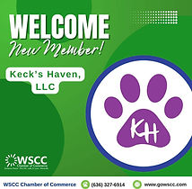 WSCC member badge