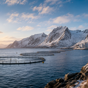 Flere sjømatbedrifter i Nord-Norge velger Zewo 