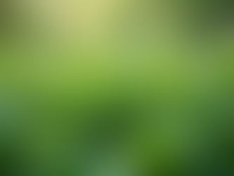 Uncovering the Benefits of Agumbe Herbs Products