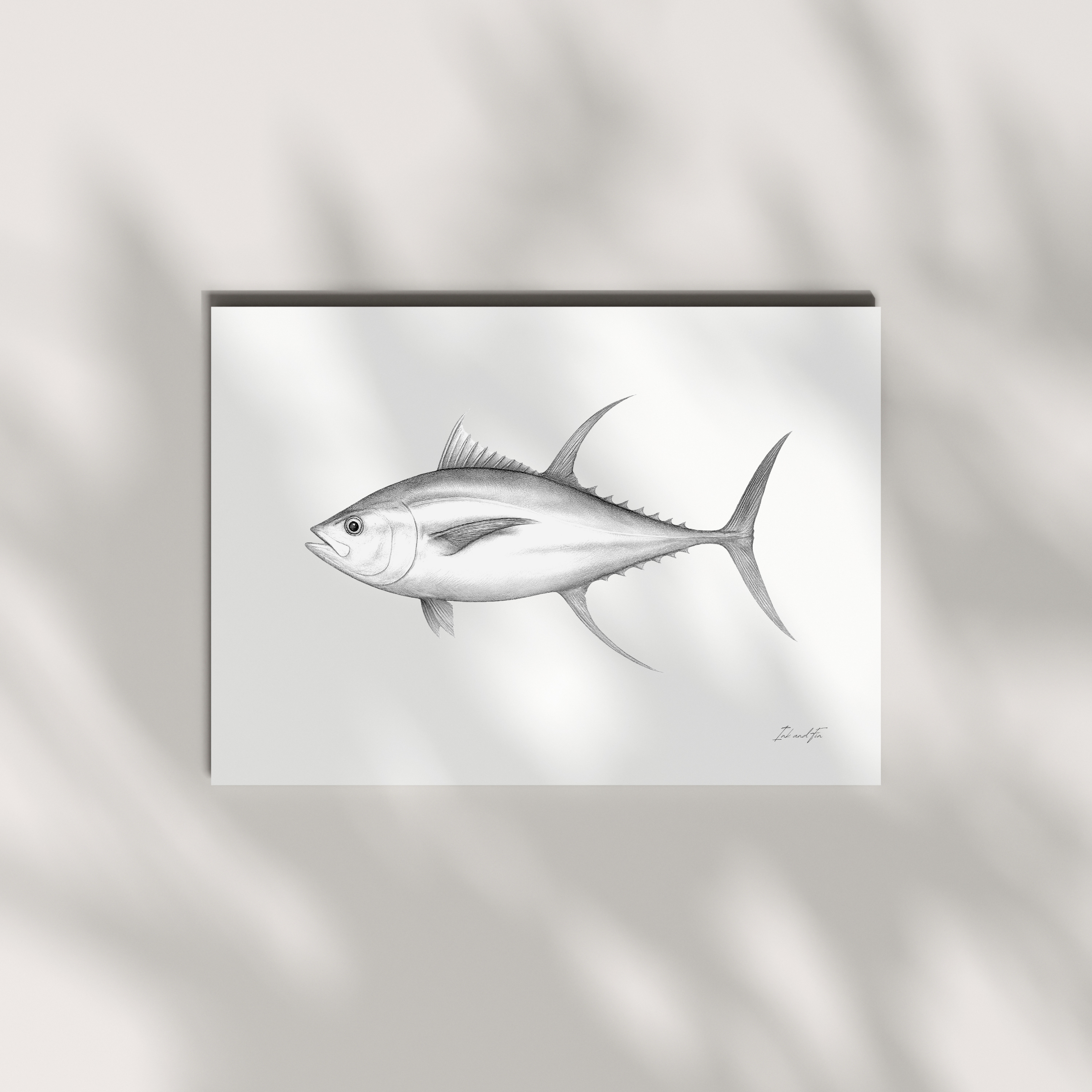Yellowfin tuna fish art print - coastal NZ gift art by Ink and Fin