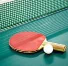 Ping Pong Paddle