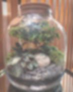 Thumbnail: Cacti Terrarium