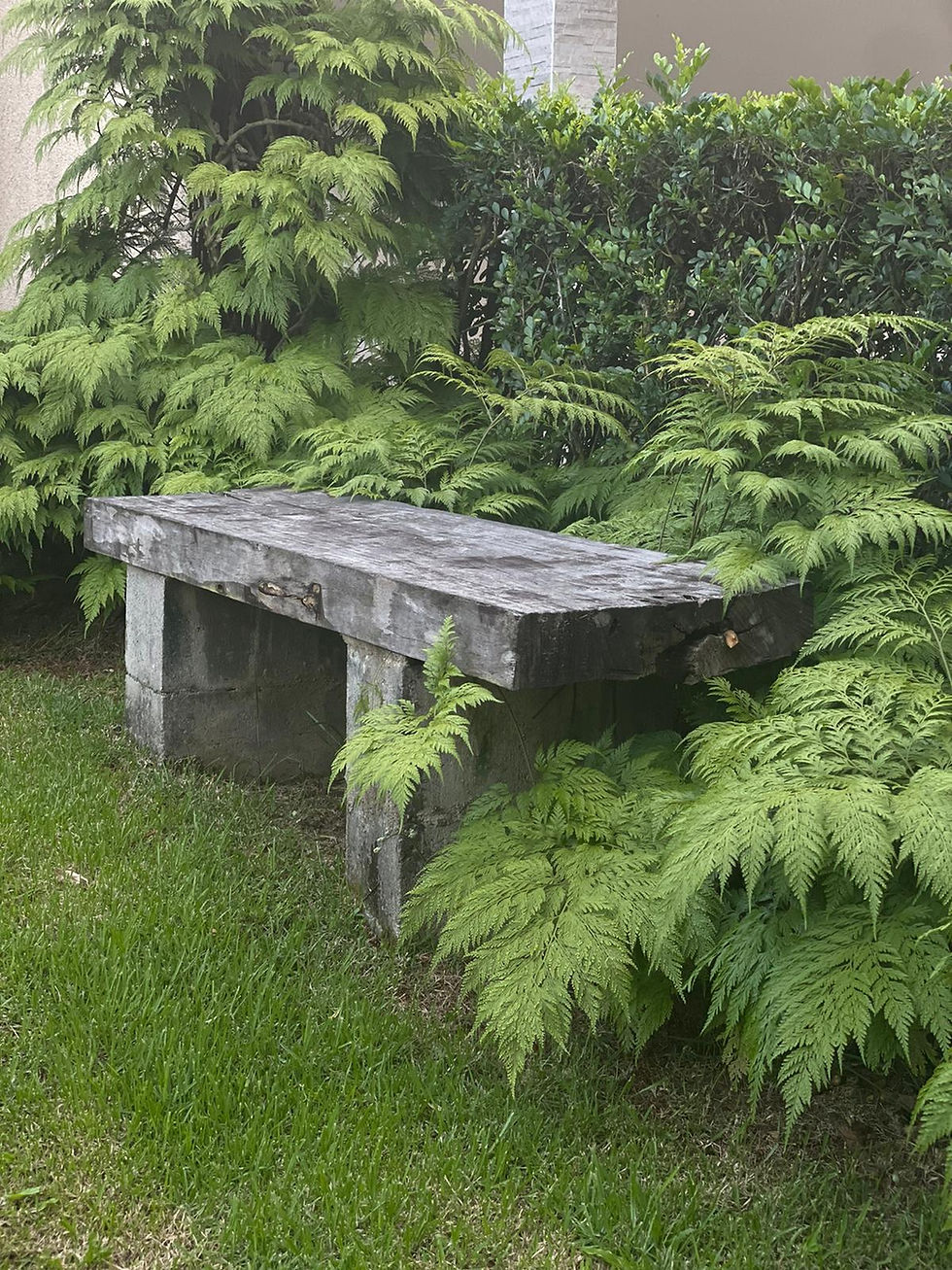 Thumbnail: Landscape Consultation - installation/renovation/enhancement
