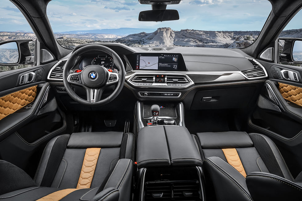 Interior X6 M