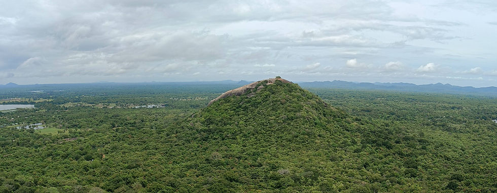 To the north of Sigiriya lies the inselberg of Pidurangala, where Buddhist monasteries were established after Kasyapa’s reign ended.