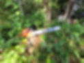 20230907_165043.jpg