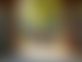 Building Stronger Communities with Evergreen Inclusive Services Inc