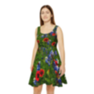 Indian Blankets Skater Dress