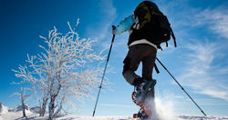 Снегоступы и палки