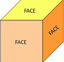 face 3d shape.png