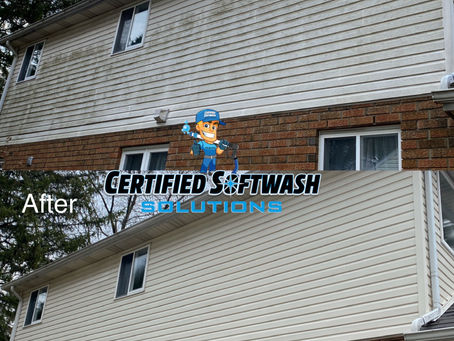The Top Things You SHOULD NOT use Power Washing Services on