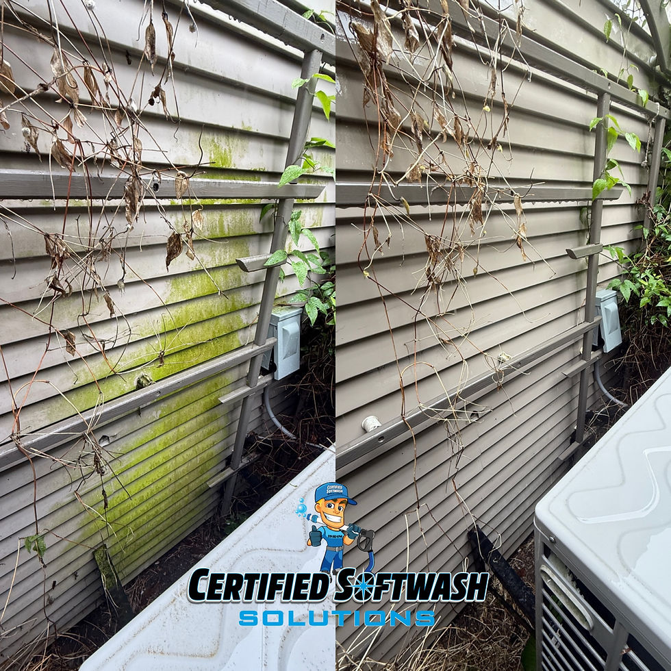 siding cleaning