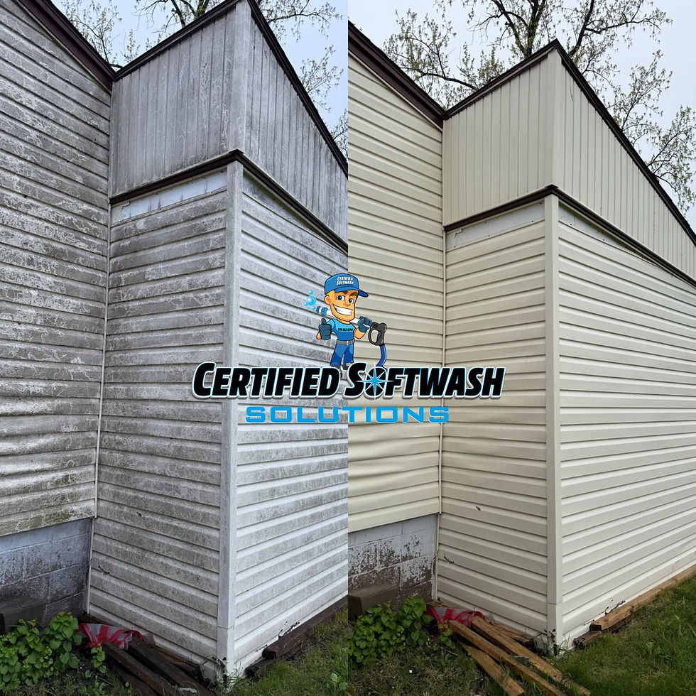siding cleaning