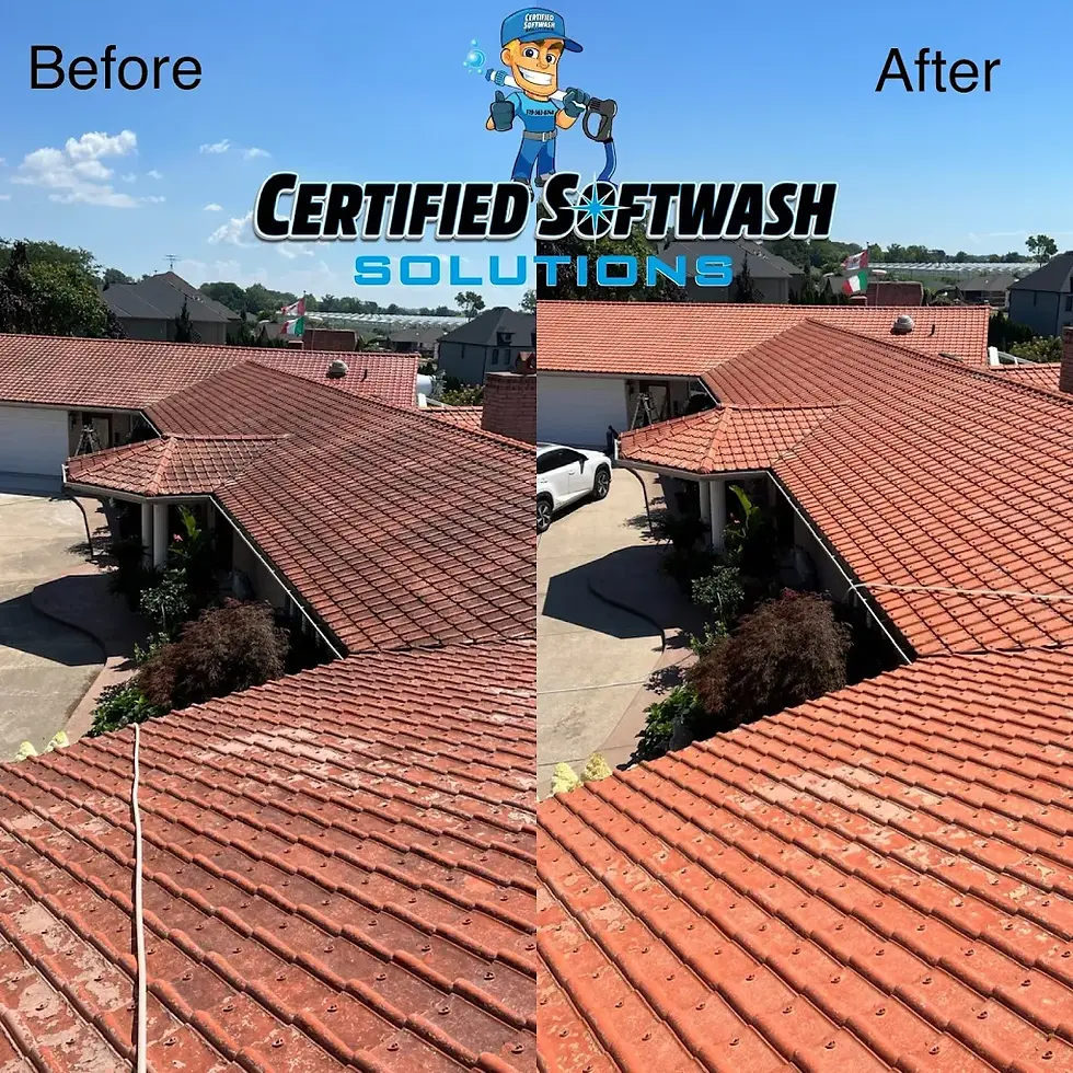 roof mold removal