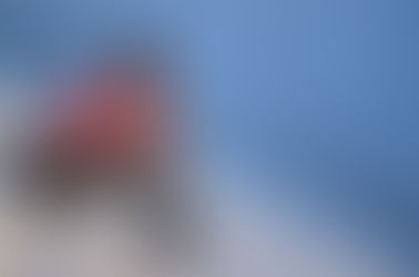 Porque você parece estar sempre na mesma?