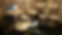 entire studio pictures.png