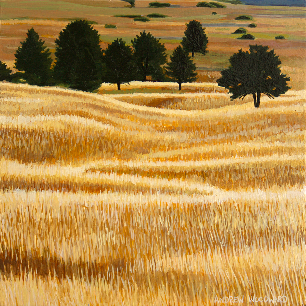 Sunlit Fields