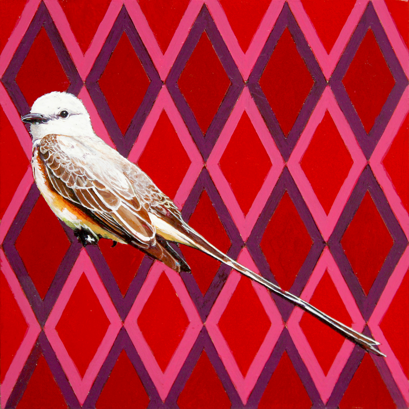 Oklahoma Scissor-Tailed Flycatcher