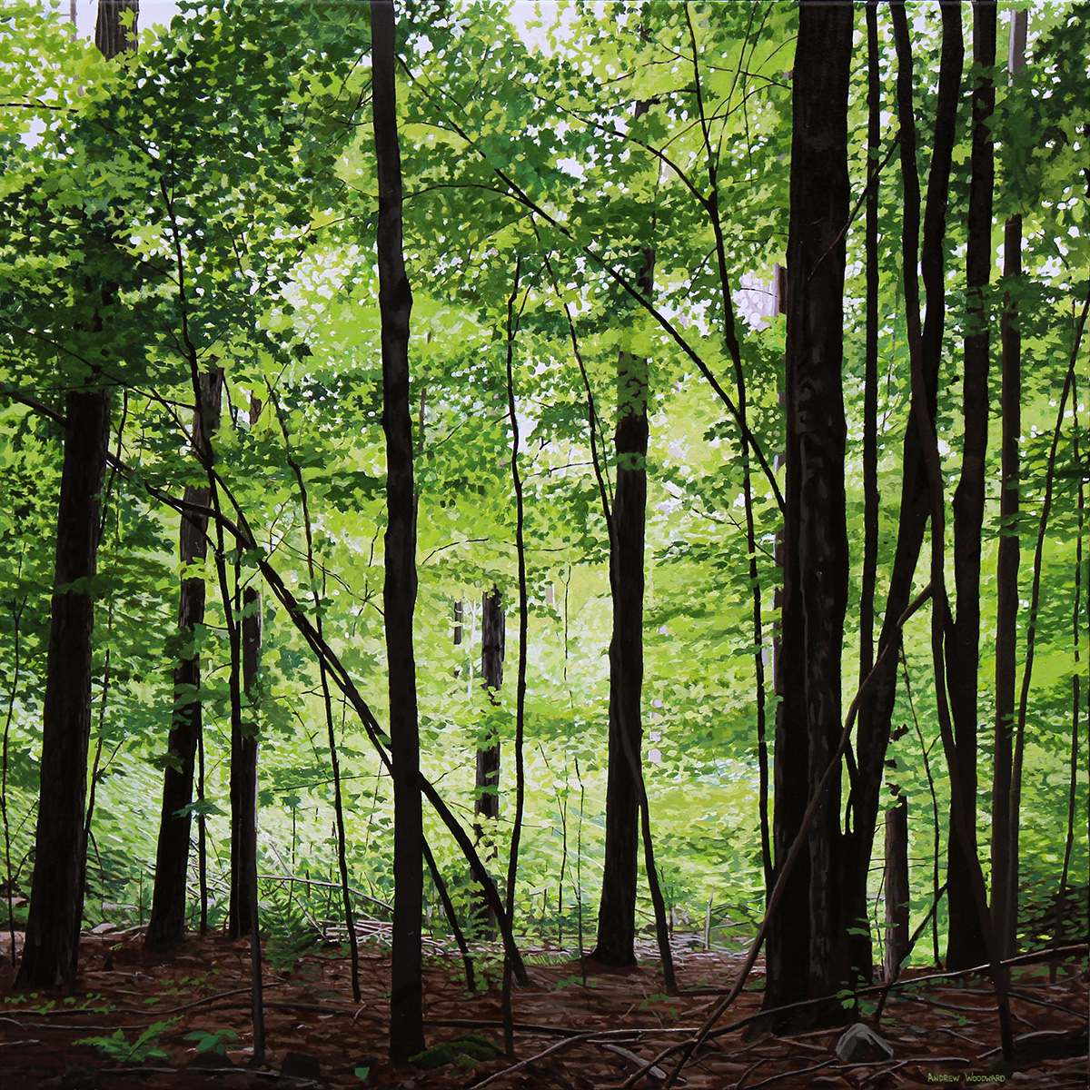 Forest Greens