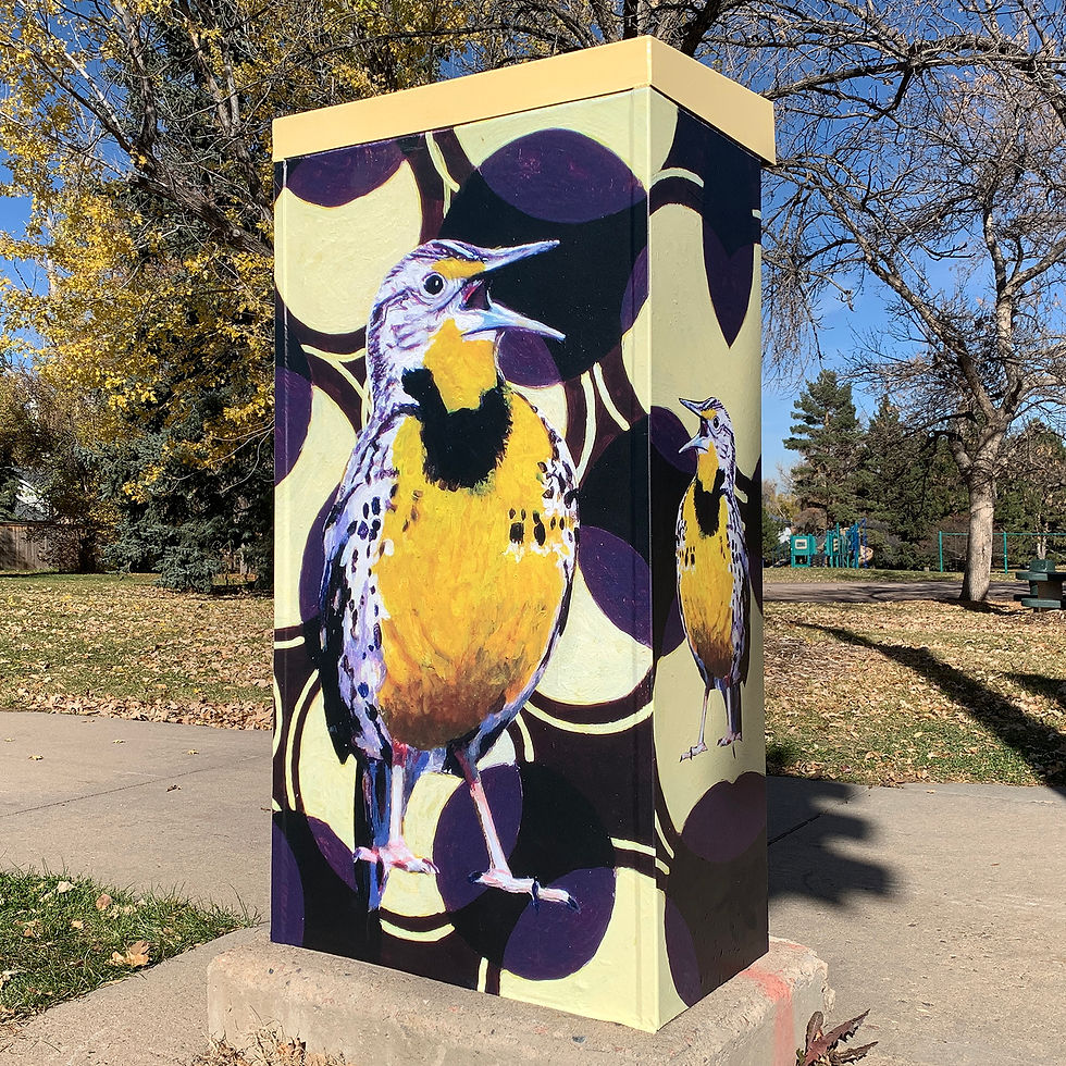 ND Western Meadowlark.jpg