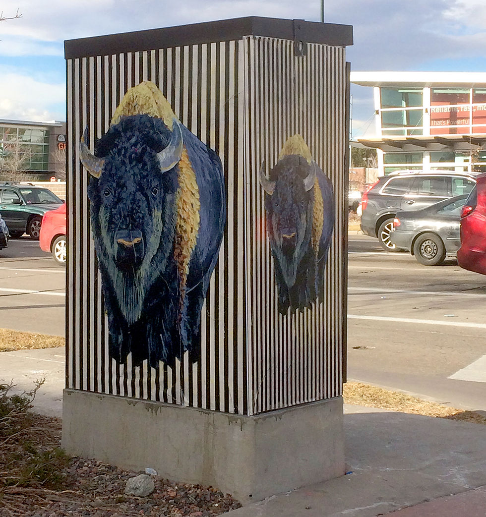 WY Bison Evans Colorado Day.jpg