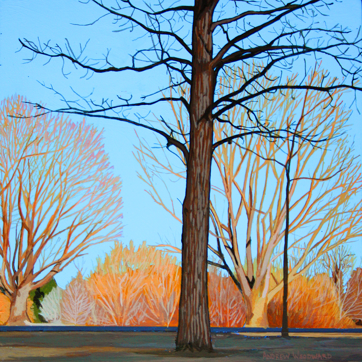 Winter Sun