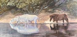 Beth Hutchison