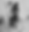 IMG_1907 - Edited - Edited.png.png