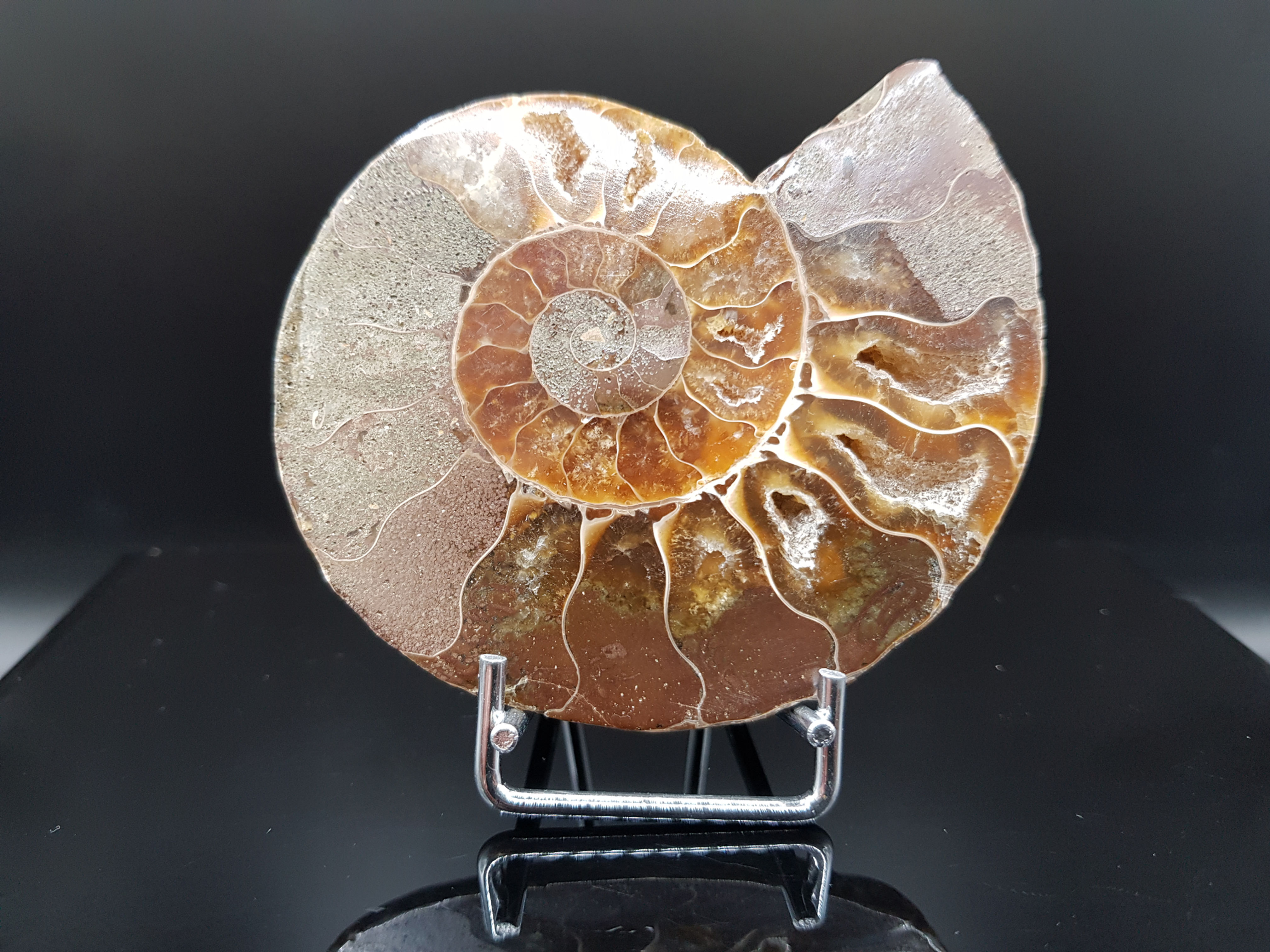 Ammonite - Ammolite ∅ 8,5cm