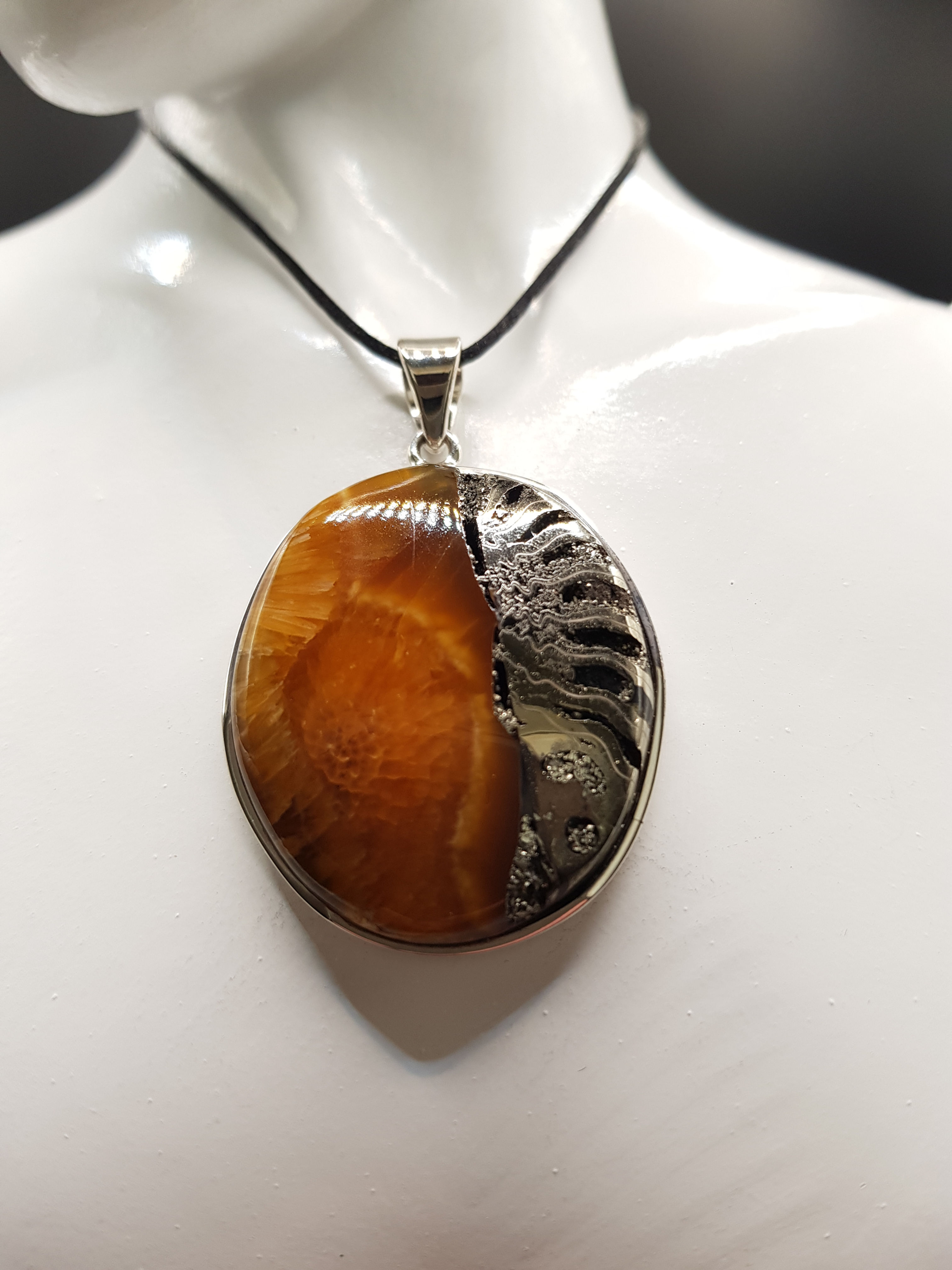 Ammonite - Ammolite & Pyrite